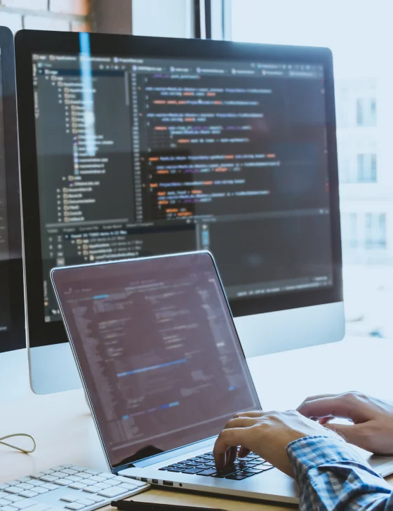 Development & Programming