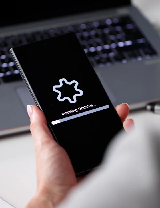 Post-Launch Support & Updates
