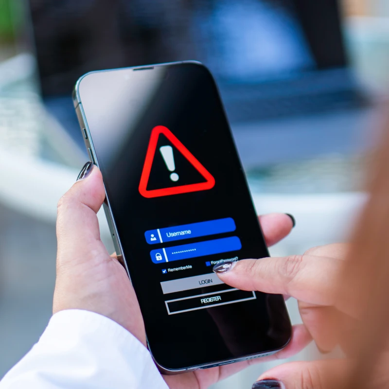 Data Security Risks icon