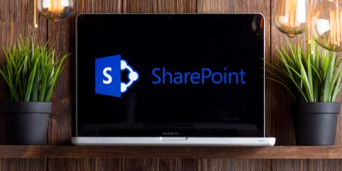 Everything You Need to Know About SharePoint