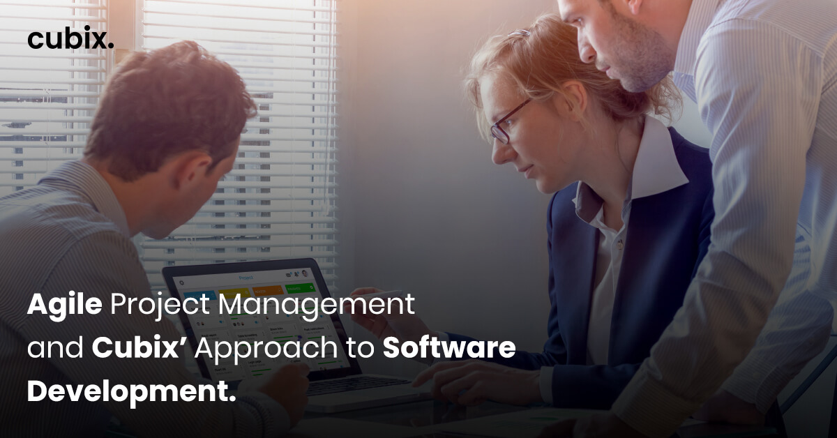 Agile Project Management and Cubix' Approach to Software Development