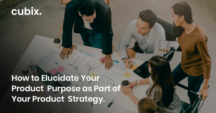 How to Elucidate Your Product Purpose as Part of Your Product Strategy
