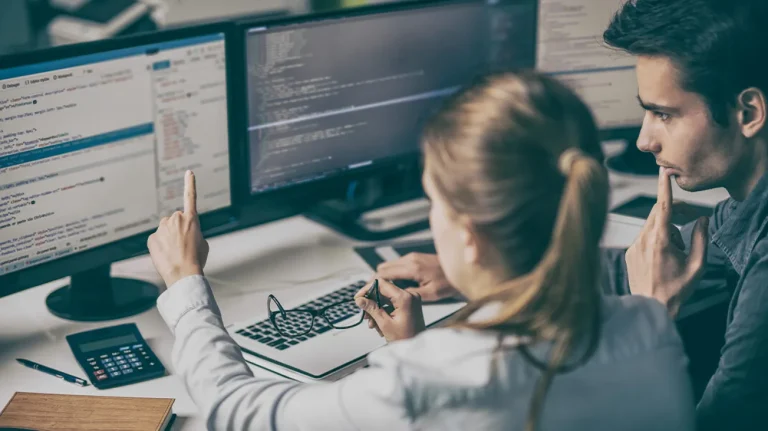 Software Development