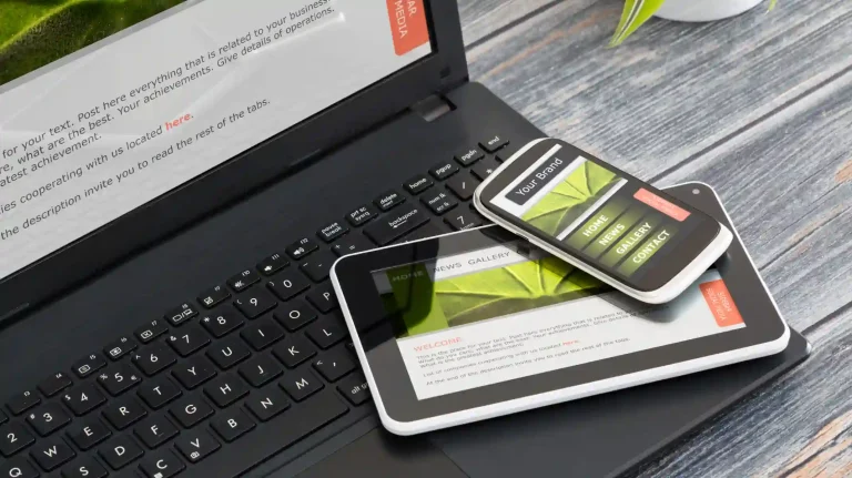 100+ Best Magento Stores