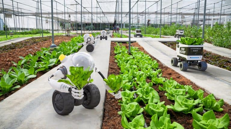 AI in Farming - The Future of Agriculture